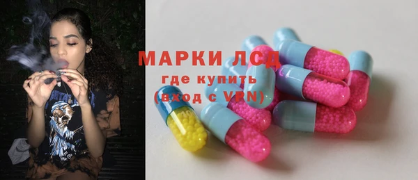 2c-b Пестово