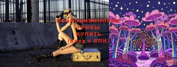 2c-b Пестово