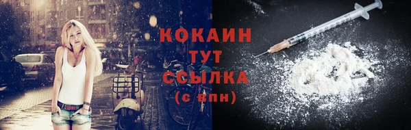 2c-b Пестово