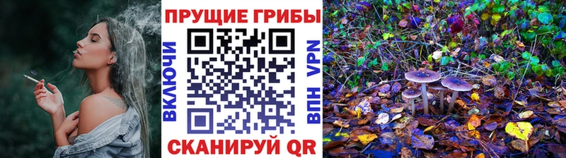 хочу   Семилуки  МЕГА ссылка  Псилоцибиновые грибы Psilocybe 